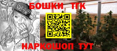 молекула духа Тверь