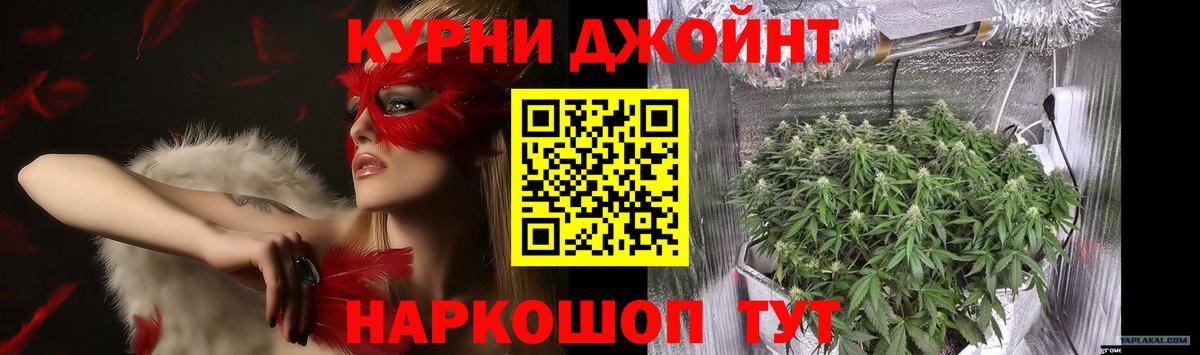 МАРИХУАНА сатива Чехов